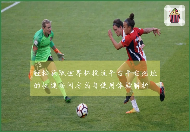 轻松获取世界杯投注平台平台地址的快捷访问方式与使用体验解析