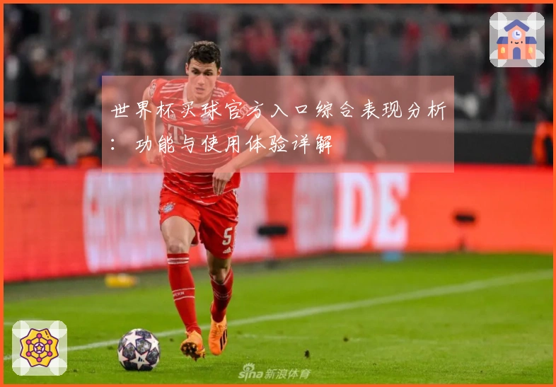 世界杯买球官方入口综合表现分析:功能与使用体验详解