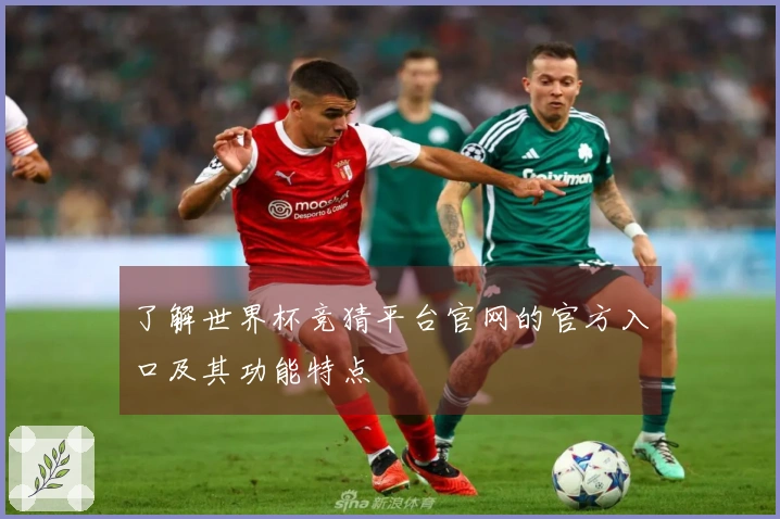 了解世界杯竞猜平台官网的官方入口及其功能特点