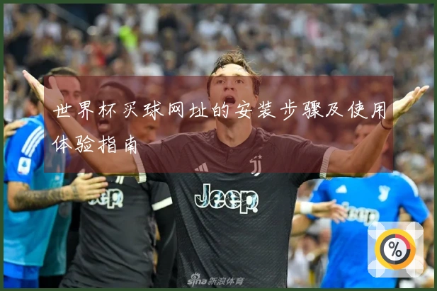 世界杯买球网址的安装步骤及使用体验指南