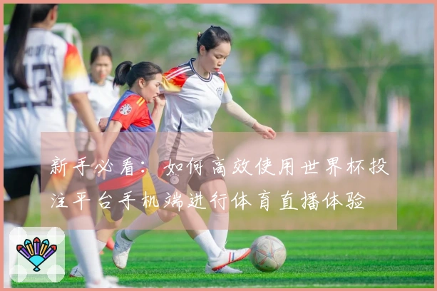 新手必看：如何高效使用世界杯投注平台手机端进行体育直播体验