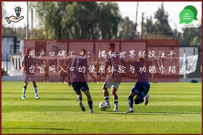 用户口碑汇总：揭秘世界杯投注平台官网入口的使用体验与功能介绍
