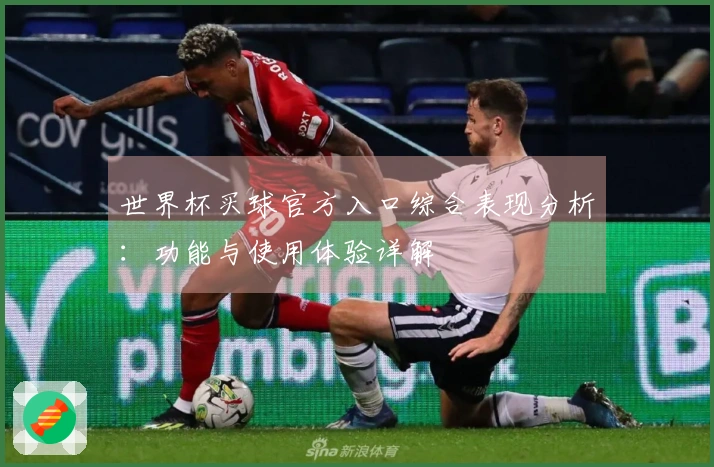 世界杯买球官方入口综合表现分析：功能与使用体验详解