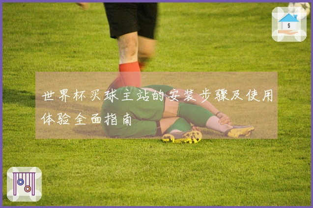 世界杯买球主站的安装步骤及使用体验全面指南
