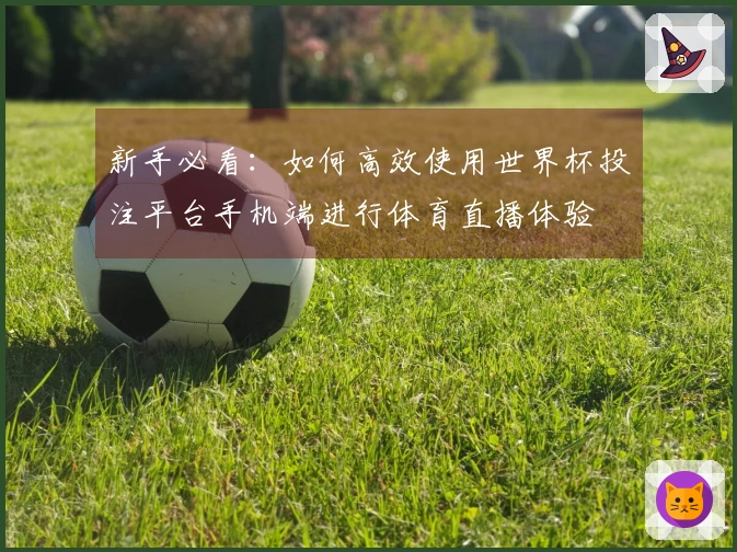 新手必看：如何高效使用世界杯投注平台手机端进行体育直播体验