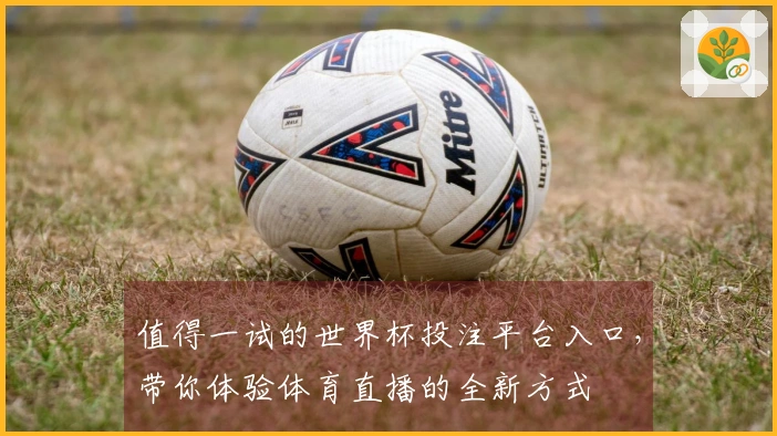 值得一试的世界杯投注平台入口，带你体验体育直播的全新方式
